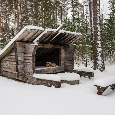Villa Cyv - A Unique On A Karhoinen